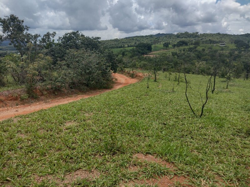 Chcara - Venda - Rural - Ona de Pitangui - MG